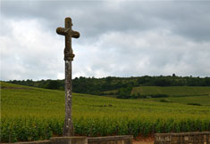 vosne romanee